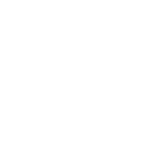 Modern Garden Gates 9